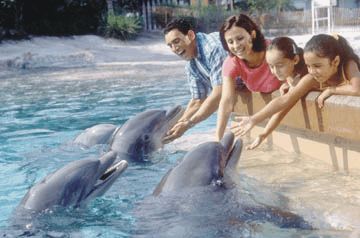 SeaWorld Discount Tickets