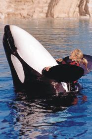 Sea World Group Tickets